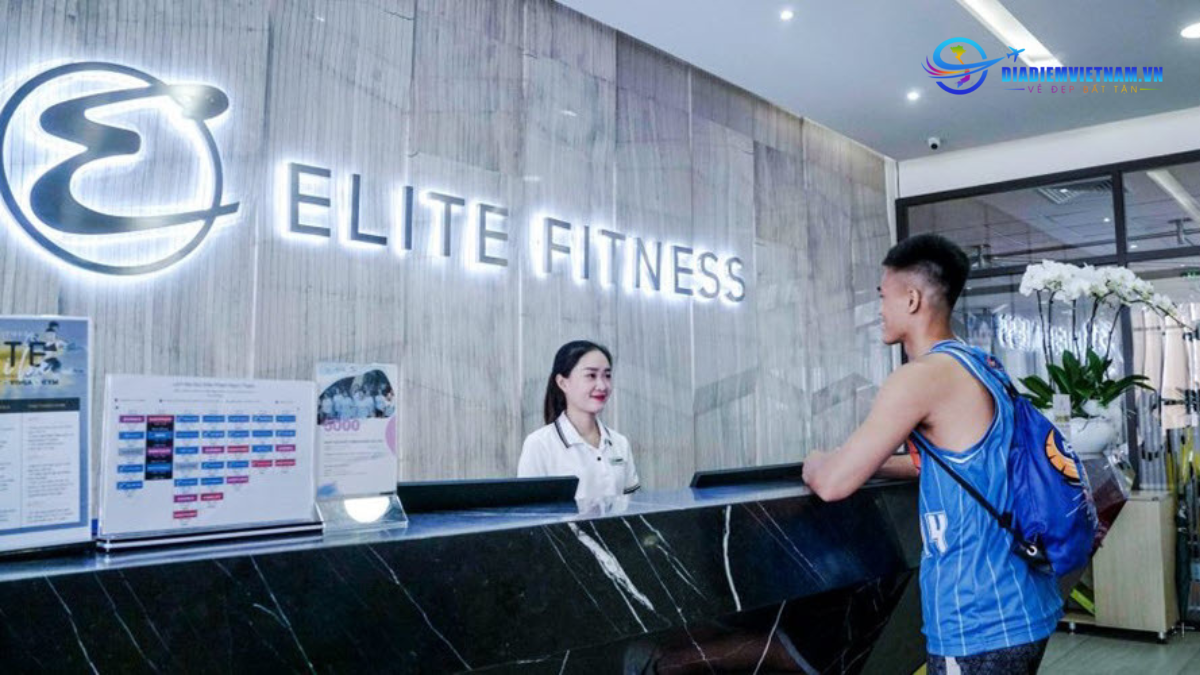 Phòng tập Elite fitness