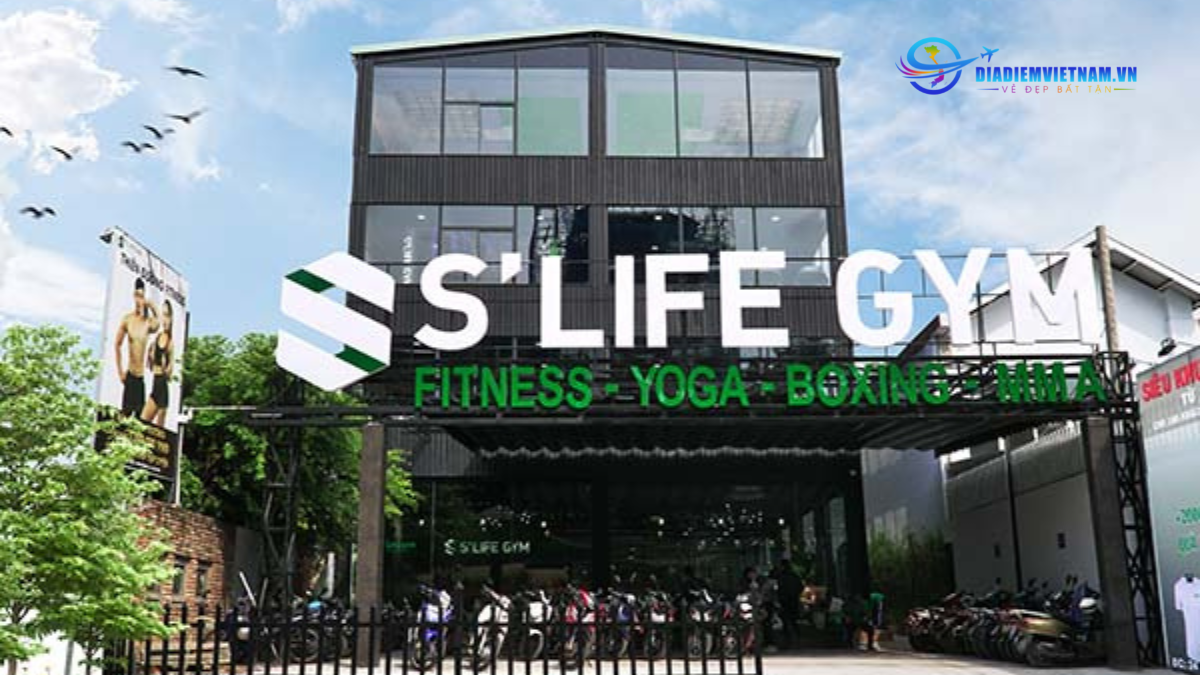 S’Life Gym Fitness and Yoga