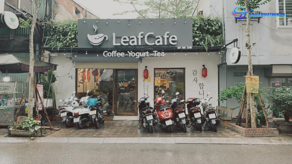Review Leaf Cafe - Quán cafe đẹp nhất Hà Nội: menu, không gian