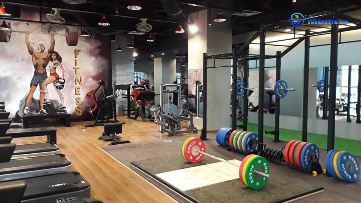 phòng tập Everest Fitness & Gym