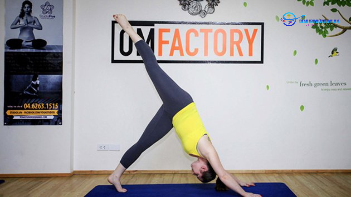 Yoga Om Factory