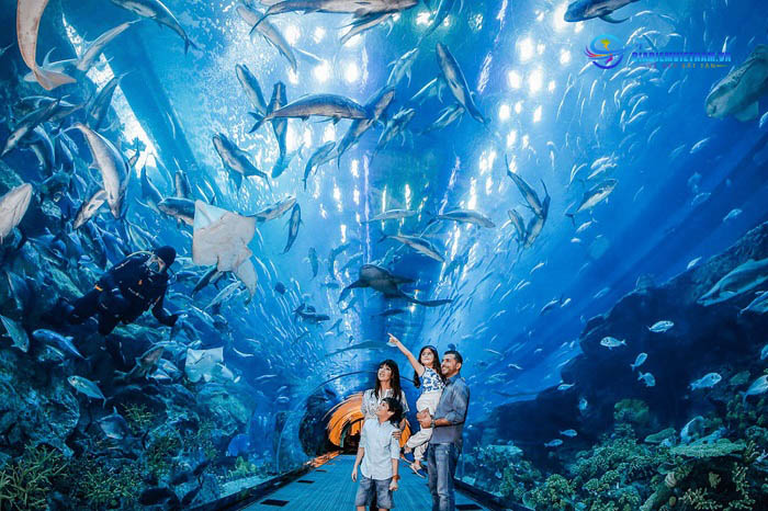 Vinpearl Aquarium Times City
