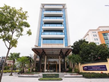 Giới thiệu về khách sạn Purple Lotus