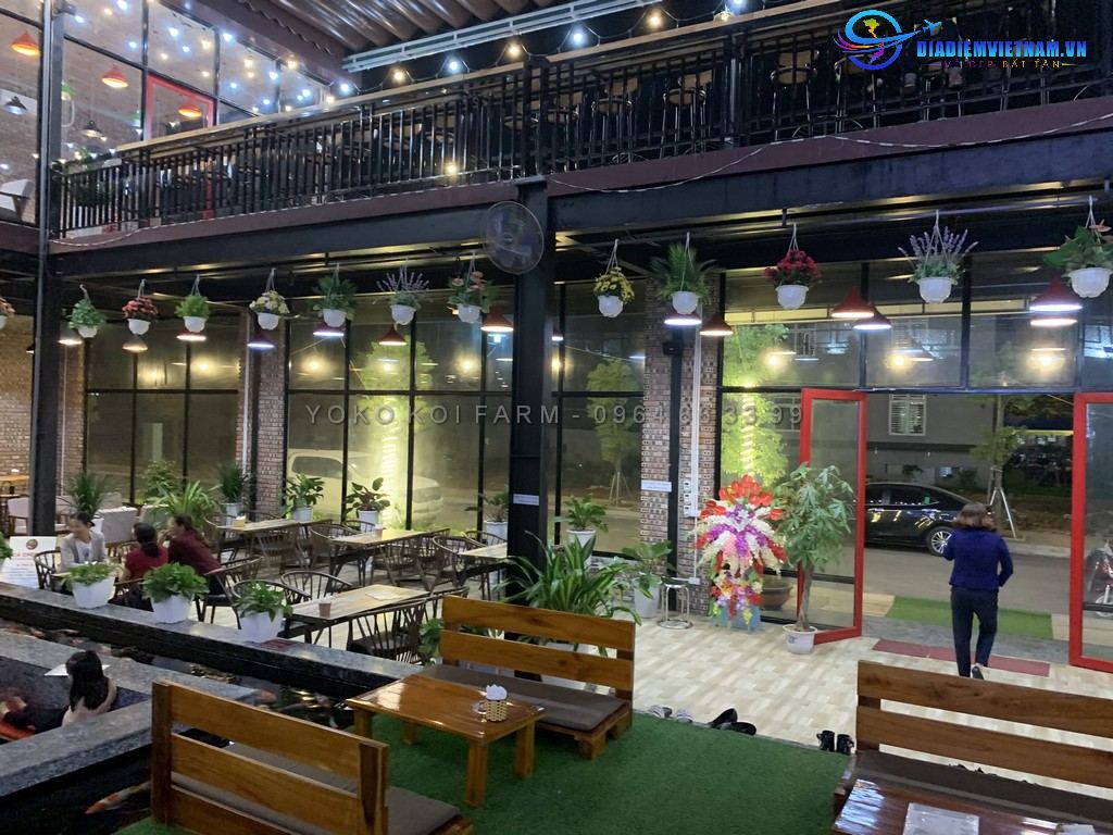 quán-cafe-cá-koi-tại-Tuyên-Quang