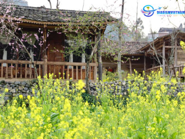 LoLo Eco House Hà Giang có khu vườn rộng rãi và đầy màu sắc