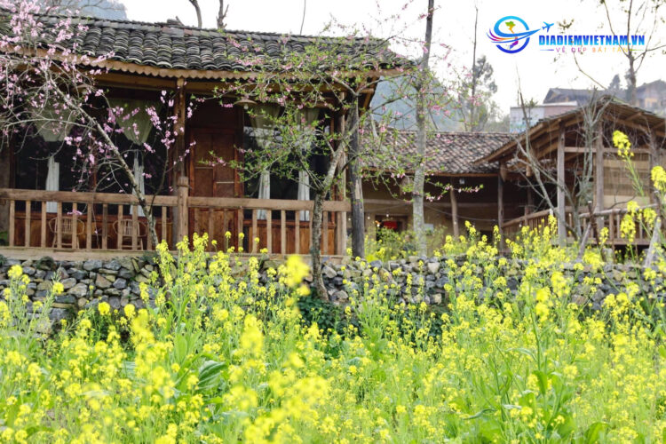 LoLo Eco House Hà Giang có khu vườn rộng rãi và đầy màu sắc