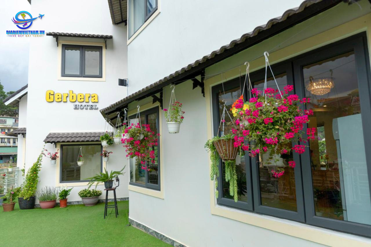 Nhà hàng Gerbera - Nhà Hàng Tại Lào Cai