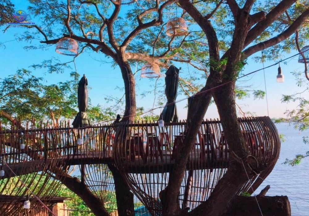 Ẩm thực Sông Thơ – Quán cafe trên cây