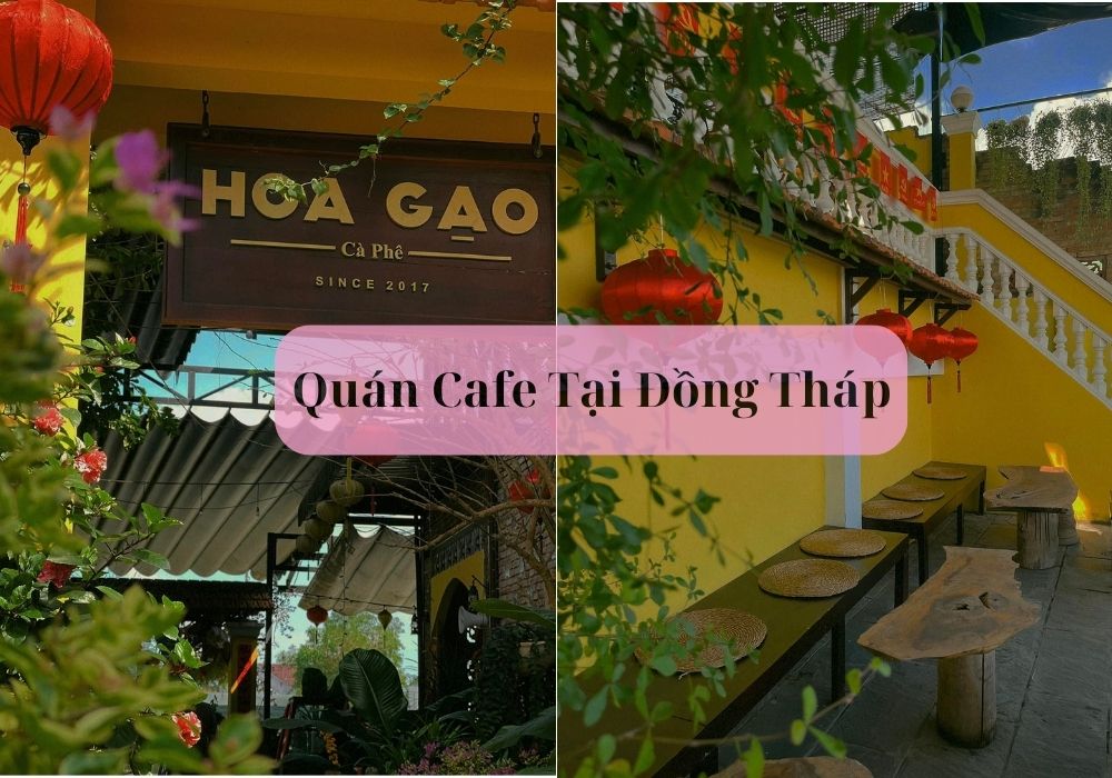 Cafe Hoa Gạo