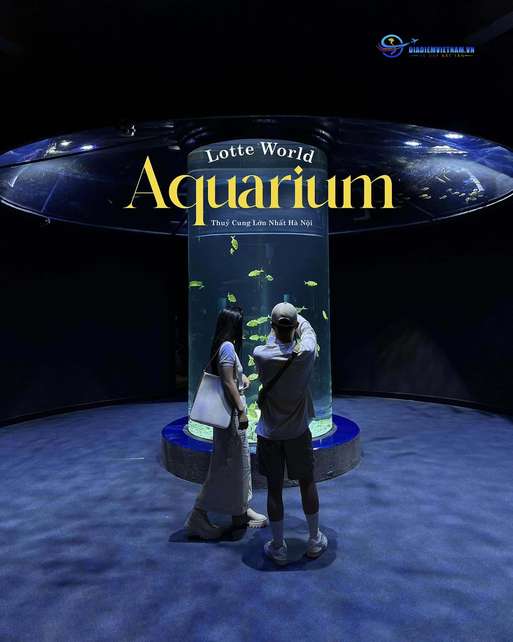 Thuỷ Cung Lottel Wold Aquarium